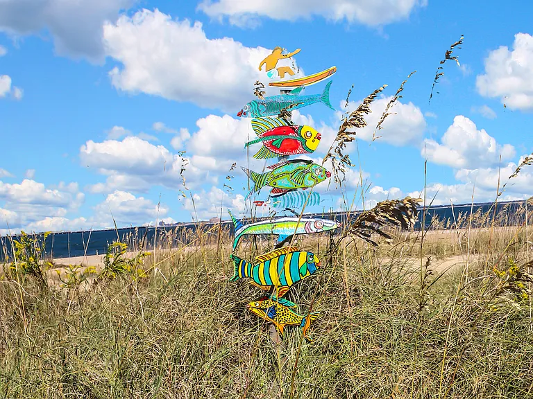 Follow the sign to Surfrider