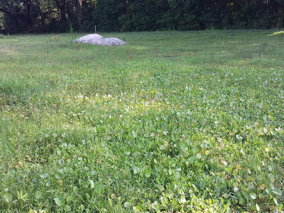 2nd image of 1856 Grimball Rd