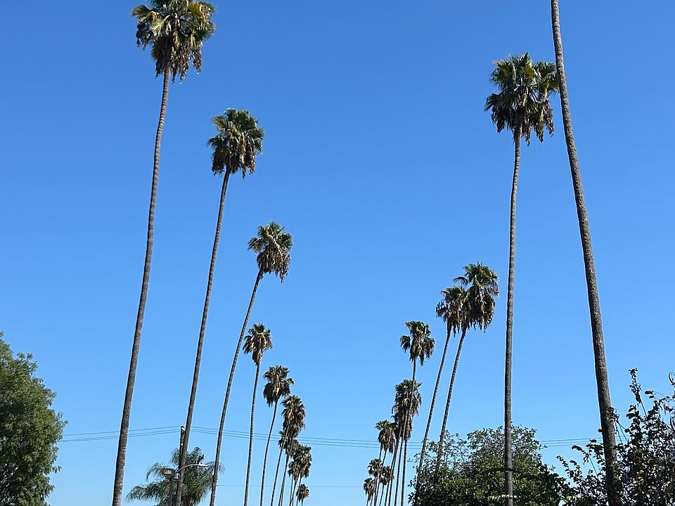 View of Rosemead Avenue street in front of building - quiet, family neighborhood