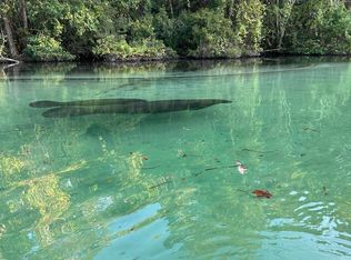 6841 E Richard Dr, Weeki Wachee, FL 34607