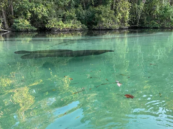 6841 E Richard Dr, Weeki Wachee, FL 34607