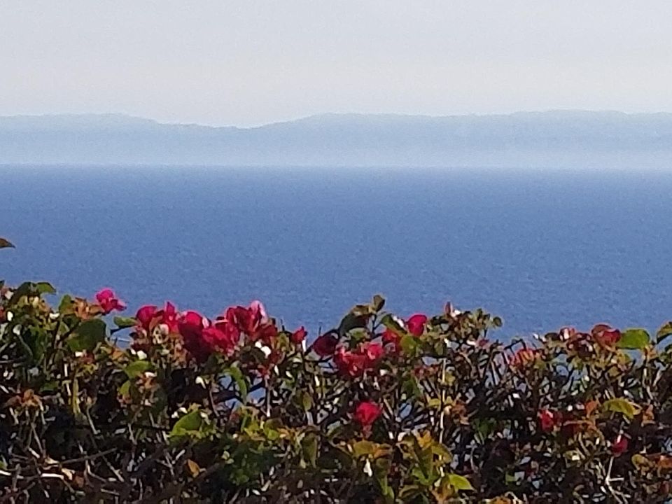 Catalina and Ocean view