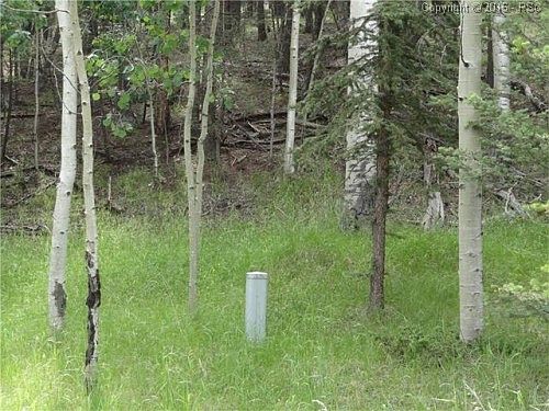4th image of 84 Kokwapy Ct