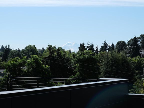 View of Mount Rainier from rooftop deck