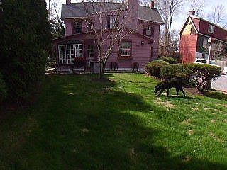 2nd image of 1285 York Rd