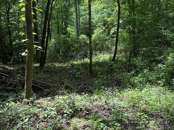 3rd image of 10 Hideaway Ln
