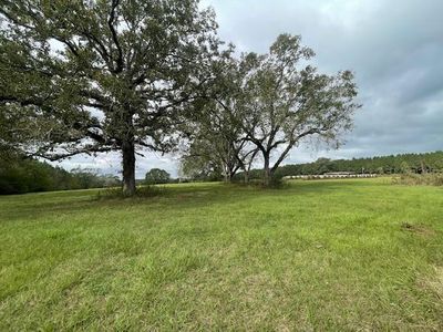 0 Vincetown Rd, Sandy Hook, MS, 39478