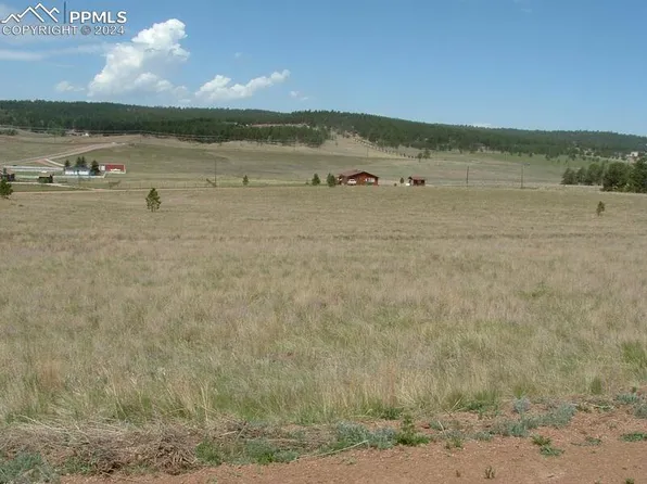 1855 S Mountain Estates Rd, Florissant, CO 80816