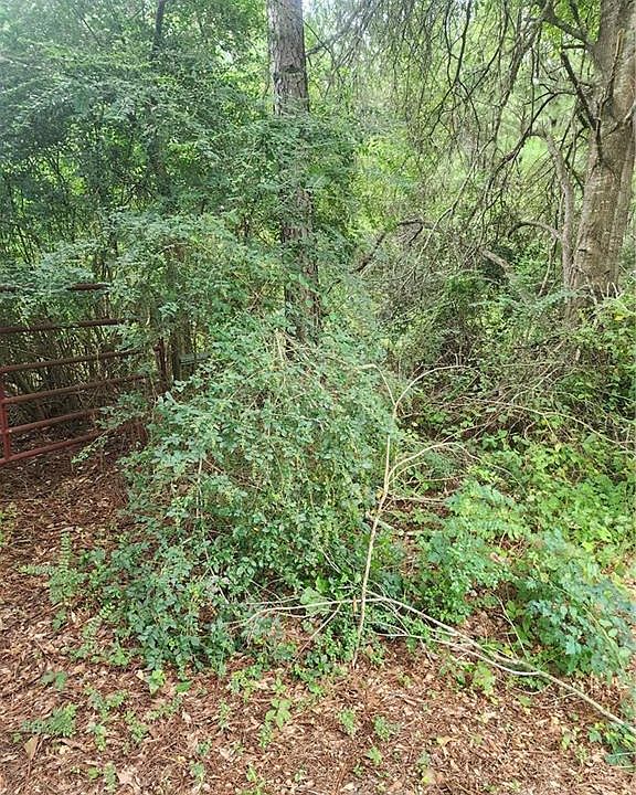 2nd image of 131 Barney Rush Rd