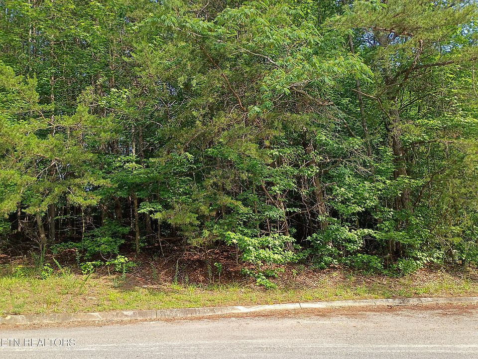 1st image of Tanger Ct