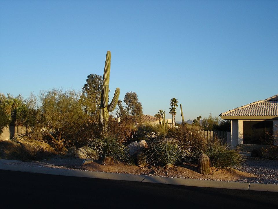 Large lot w/dry desert wash to the north;very private;fenced
