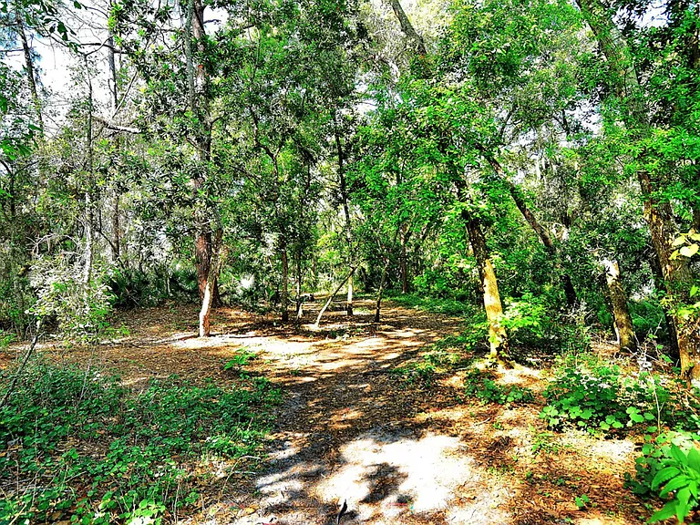 5462 Creeping Hammock Cir — Photo 48