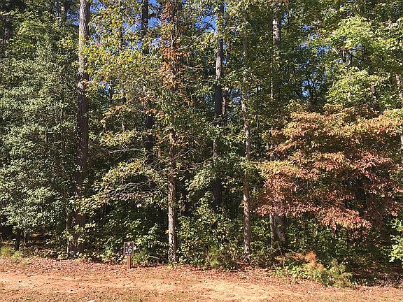 View of lot from the road