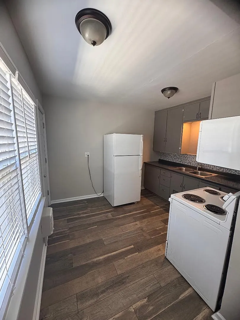 1 bed, 700 sqft, $1,450 — Photo 4