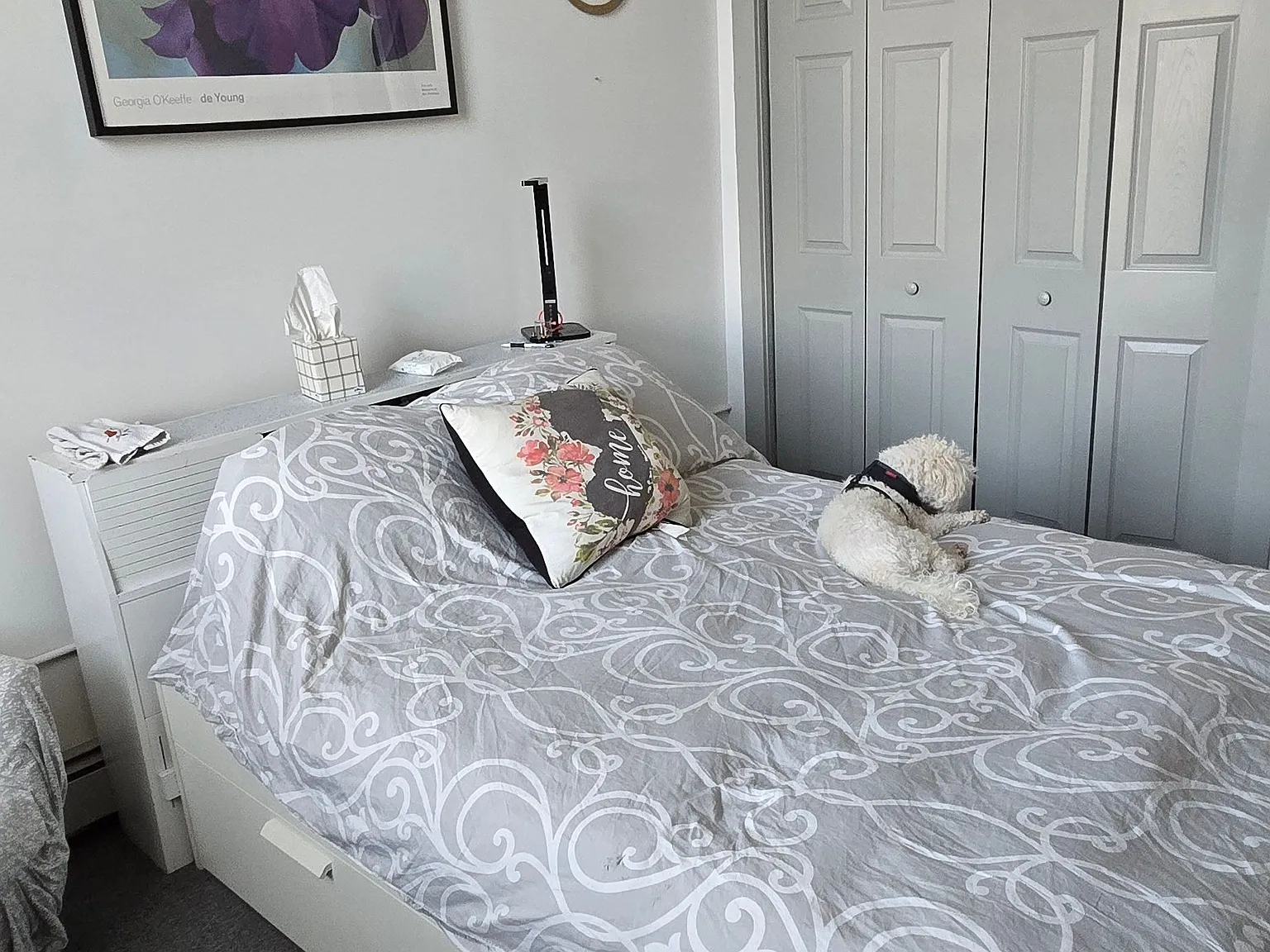 2 bed, 1200 sqft, $1,795 — Photo 4