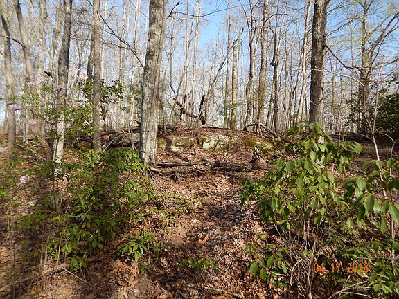 5th image of Dogwood Trl