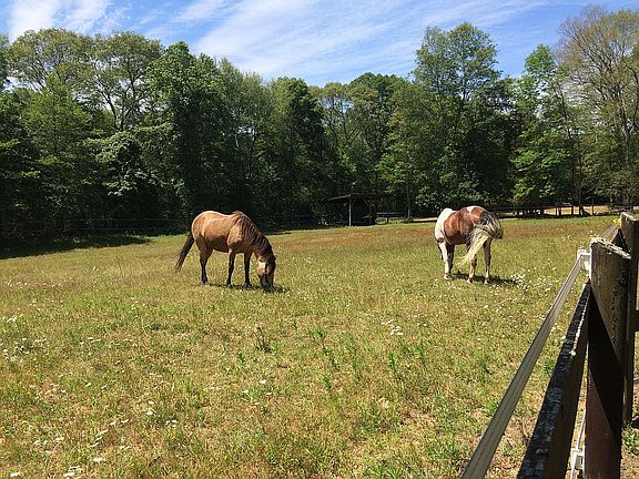 Zoned for 19 horses!