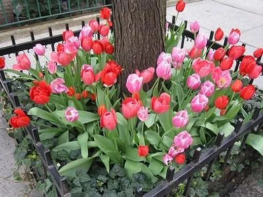 Sold by Harlem Lofts | media 15