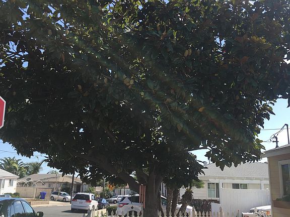 4th image of 1740 Drescher St