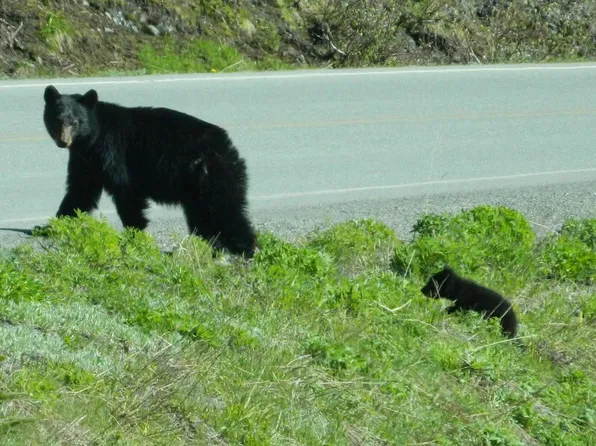 Lt 4 PARKWAY ROAD, Crivitz, WI 54114