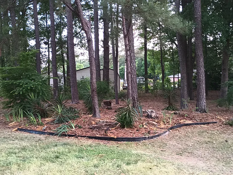 2233 Bracey Ave — Photo 5