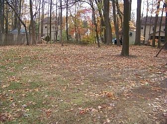 Level Back Yard with Mature Landscaping