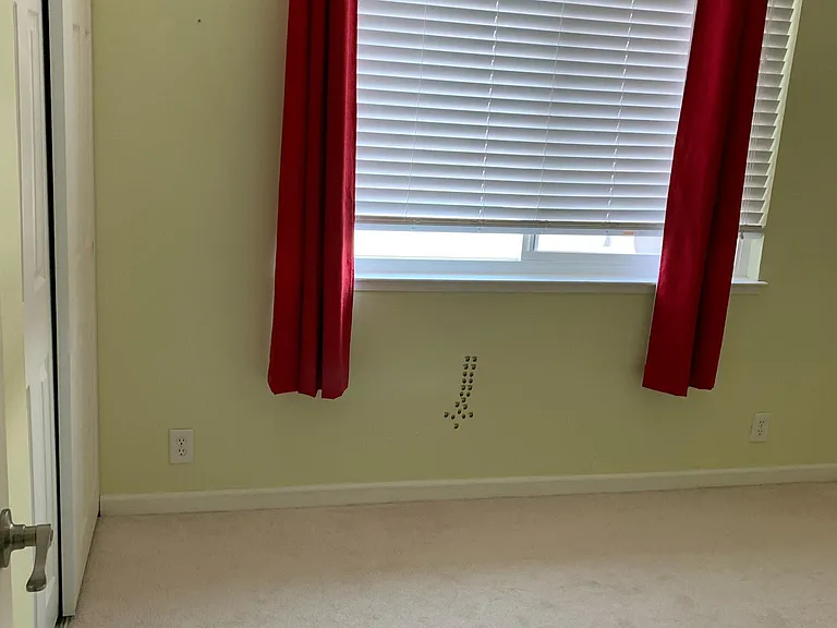 4542 Reyes Dr — Photo 4