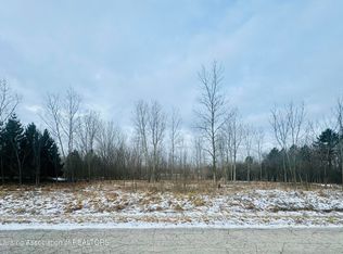 117 Daggertail Ln, Okemos, MI