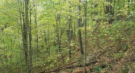5th image of 286 Running Deer Trl
