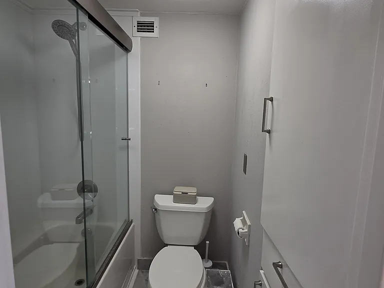 Master shower and tub