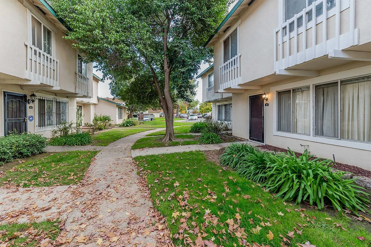 58 Omaha Ct photo 1