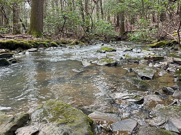 3rd image of 126 Kelly Creek Rd