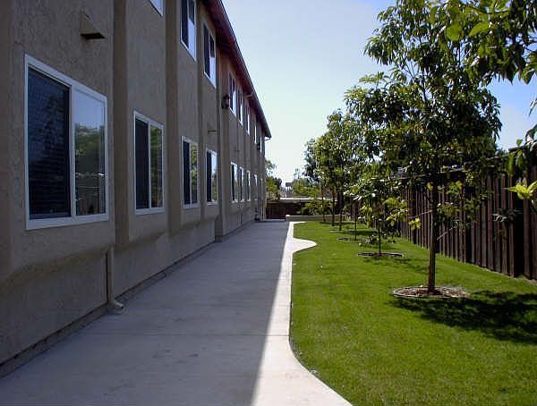 Outside Lush Garden View
