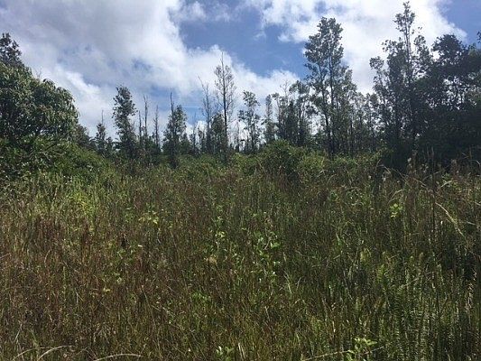 3rd image of 15-1435 11th Ave Lot 1555