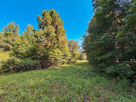 3rd image of Fm 319