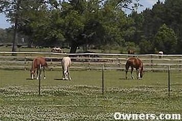 Beautiful 10 Acre Horse Ranch