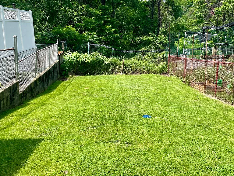 Fenced back yard