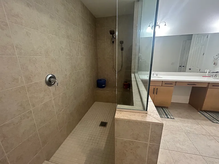 Master Bathroom Shower