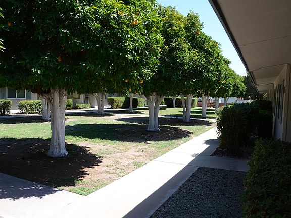 3rd image of 10568 W Coggins Dr