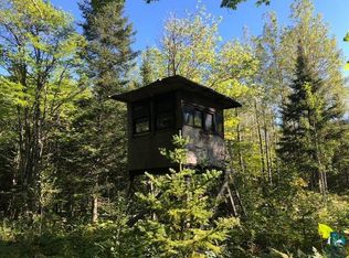 Heino Rd, Angora, MN 55703