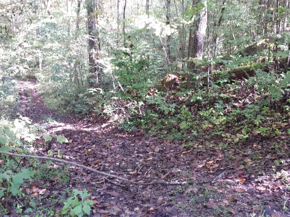 Hiwassee View Dr, Jacksboro, TN 37757