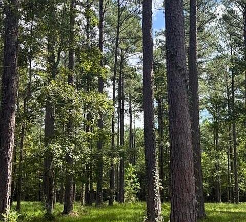 2nd image of 39 Corrolla Loop Road LOT 69/69A