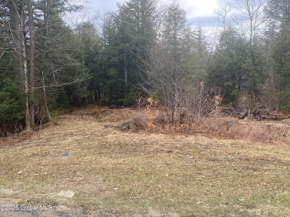 L13 County Highway 137, Caroga Lake, NY 12032
