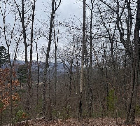 4th image of 0 Ethan Rdg