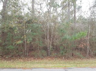 Lot 16 Lakeview, Sour Lake, TX 77659