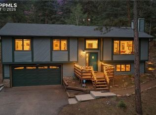 1129 Forest Hill Rd, Woodland Park, CO 80863