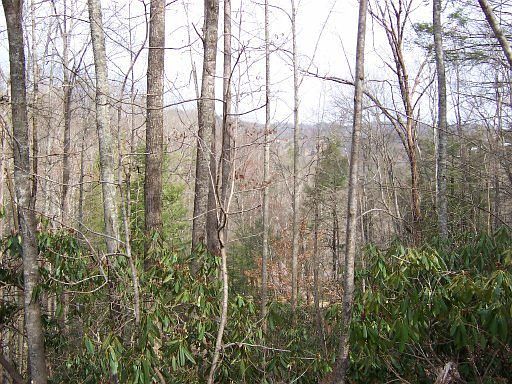 1st image of Chimney Tops Way