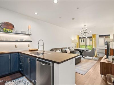 1400 E Valley Rd Unit 110, Basalt, CO, 81621