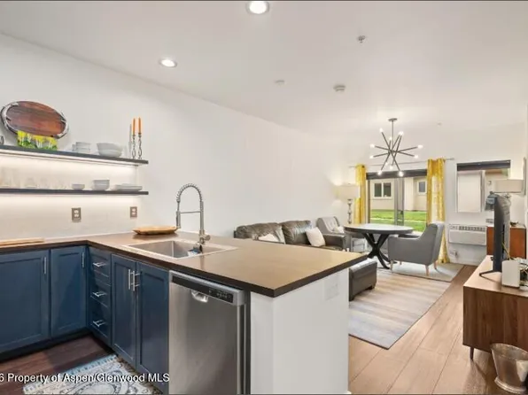 1400 E Valley Rd Unit 110, Basalt, CO 81621