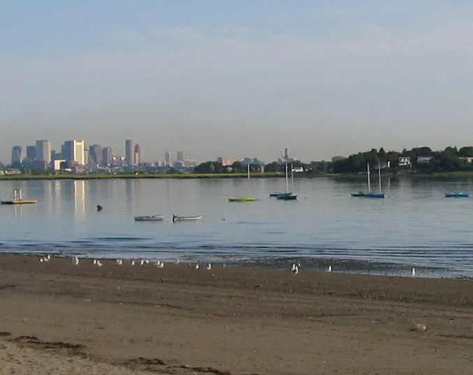 View of downtown Boston from the beach (less than a block away)